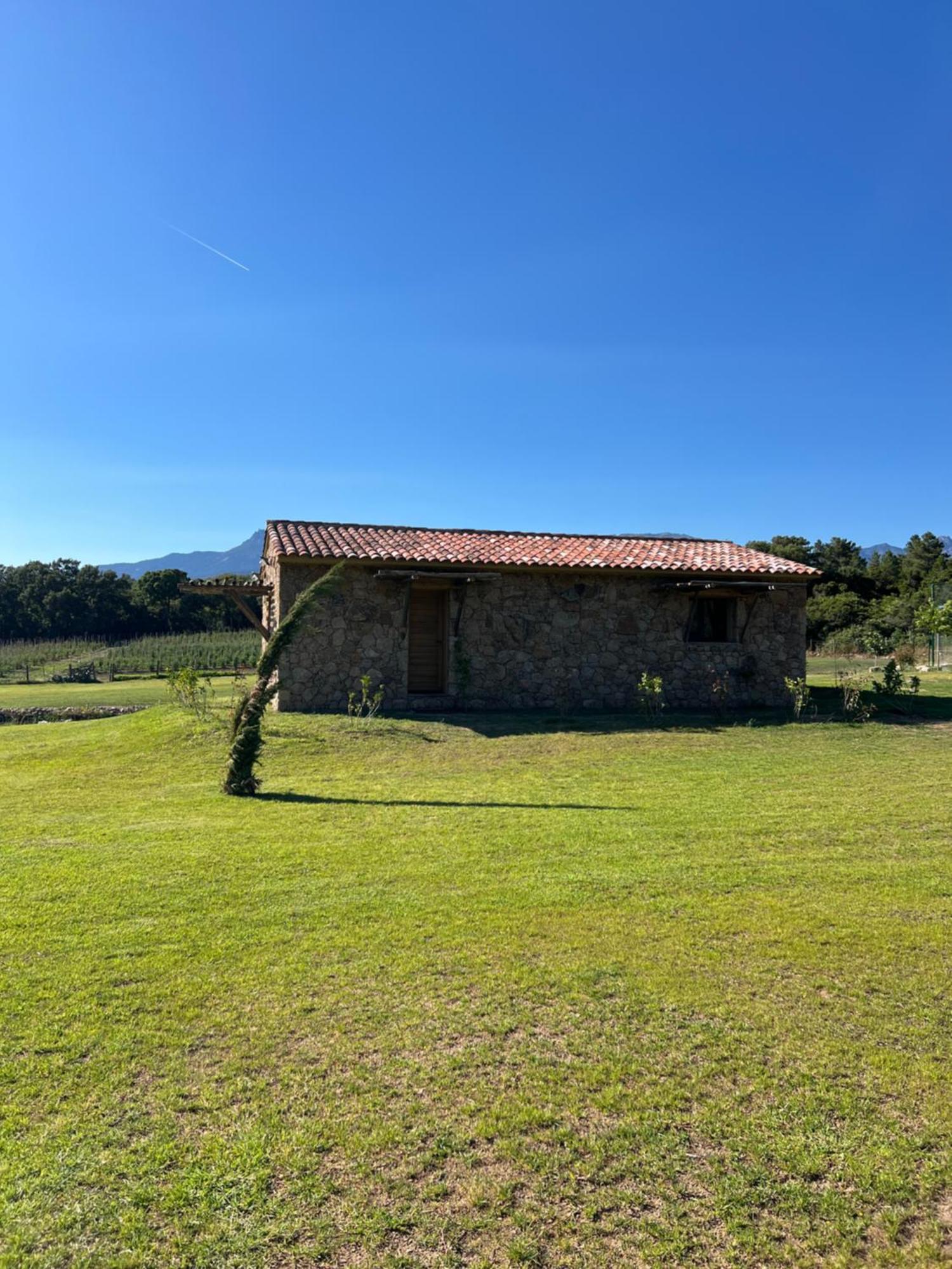 Domaine Pozzo Di Mastri Figari (Corsica)